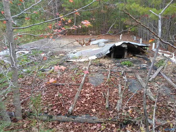 Baileyton, AL 35019,874 Double S Mountain Road