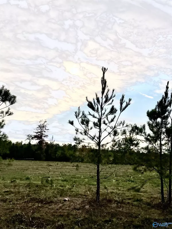 Piedmont, AL 36272,Lot 10 County Road 39