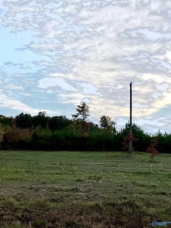 Piedmont, AL 36272,Lot 11 County Road 39