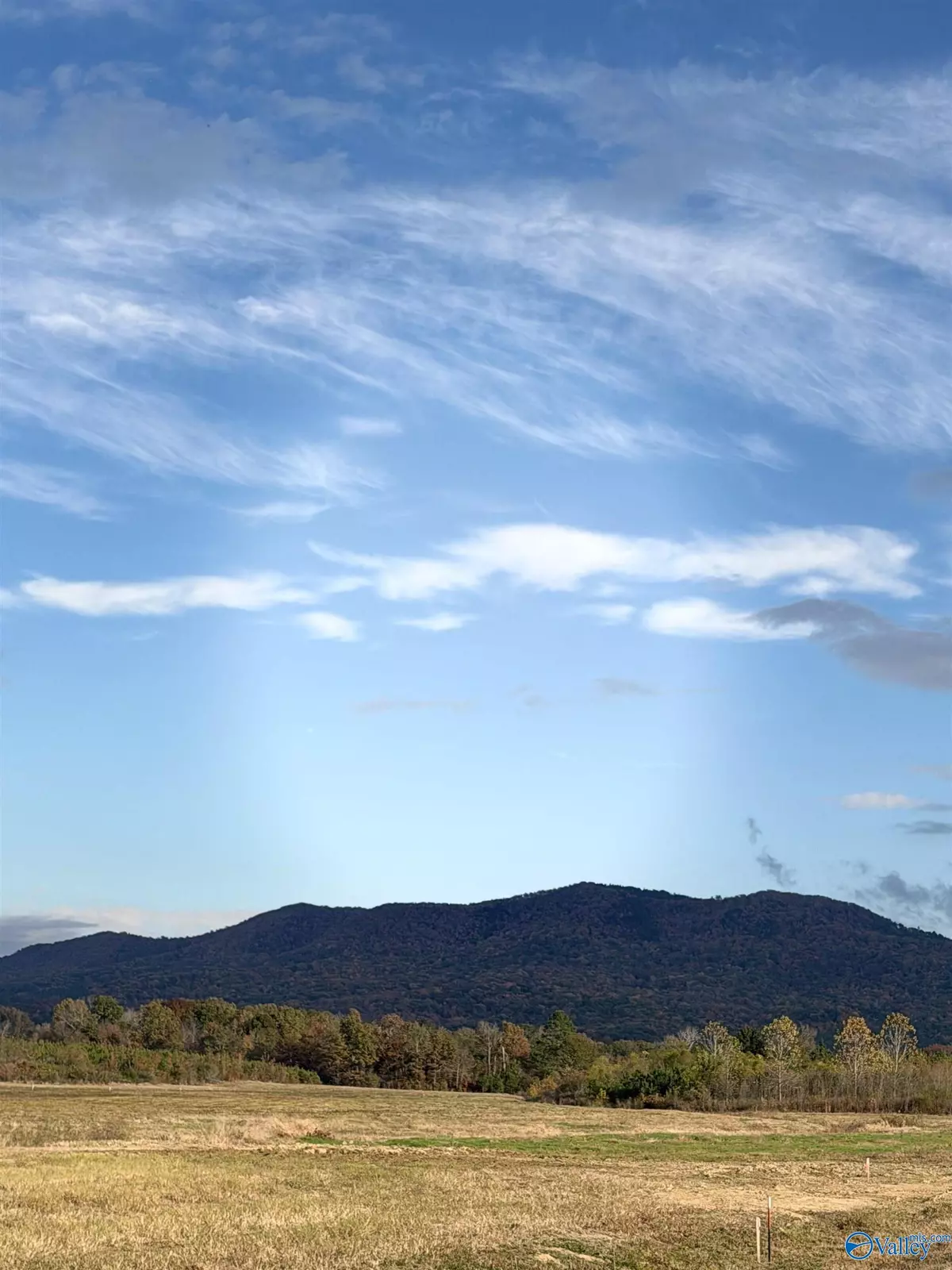 Piedmont, AL 36272,Lot 39 County Road 32