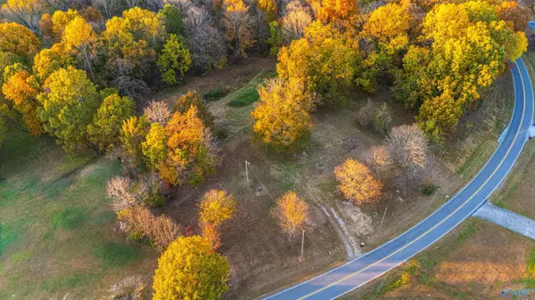 Anderson, AL 35610,29661 Persimmon Tree Road