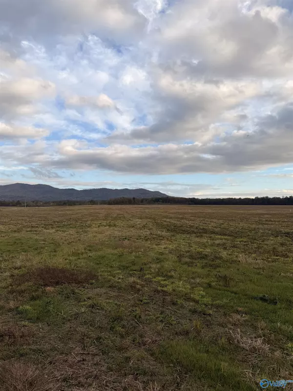 Lot 63 County Road 32, Piedmont, AL 36272