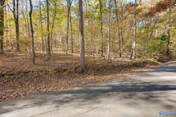 Decatur, AL 35603,3817 SW Fall Bluff Drive SW