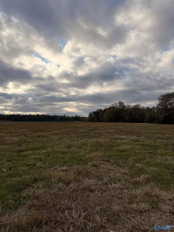 Piedmont, AL 36272,Lot 50 County Road 22