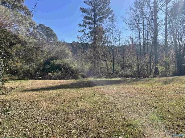 Grant, AL 35747,354 Word Mountain Road