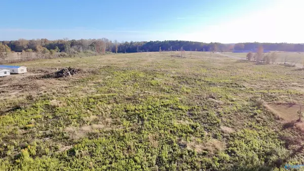 Albertville, AL 35951,25 Acres Alabama Highway 68