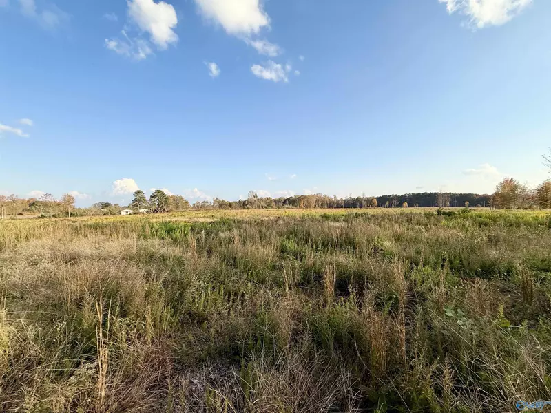 25 Acres Alabama Highway 68, Albertville, AL 35951