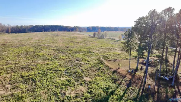 Albertville, AL 35951,25 Acres Alabama Highway 68