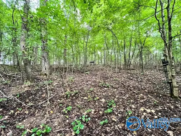 Athens, AL 35614,3.78 Acres Flicker Way