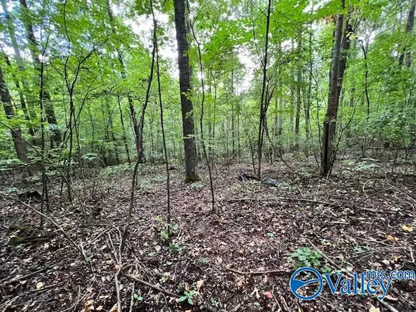Athens, AL 35614,3.78 Acres Flicker Way