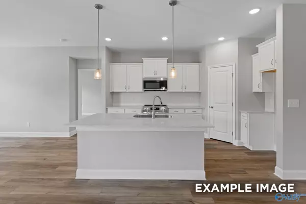 Meridianville, AL 35759,101 Drupelet Lane