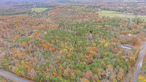 Pisgah, AL 35765,18 acres County Road 359