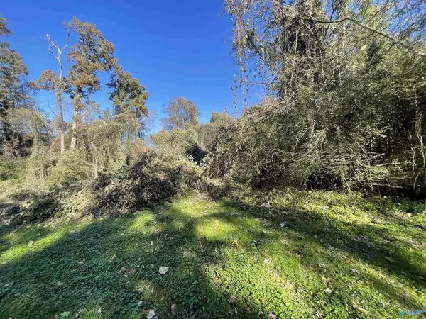 10 Wood Avenue, Sheffield, AL 35660