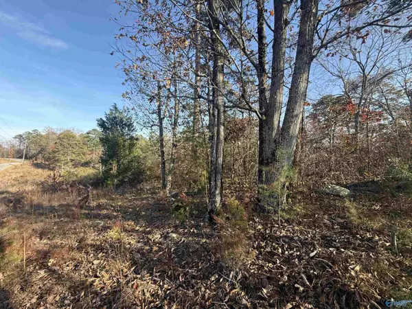 Leesburg, AL 35983,lot#0 County Road 70