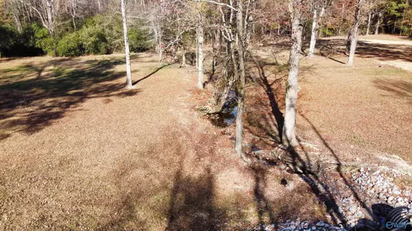 Albertville, AL 35950,513 Rabbittown Road