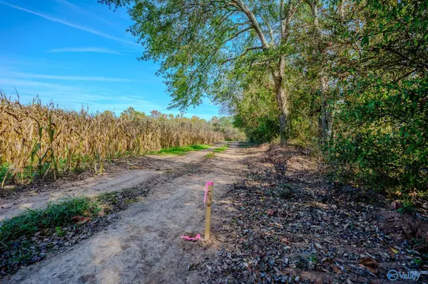 Huntsville, AL 35802,3.95 Old Highway 431