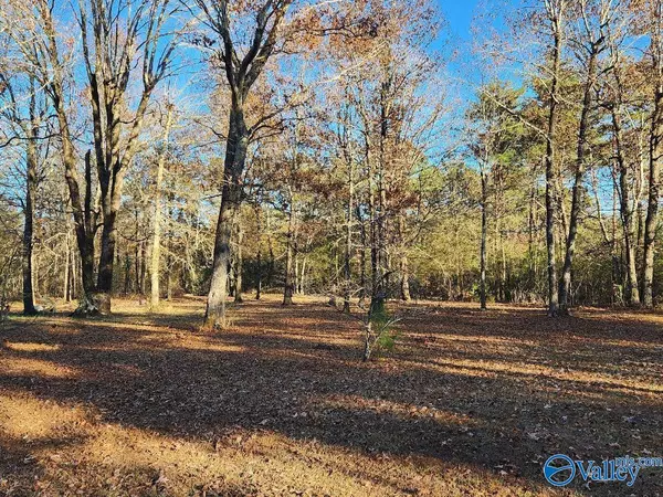 Fort Payne, AL 35967,2121 County Road 79