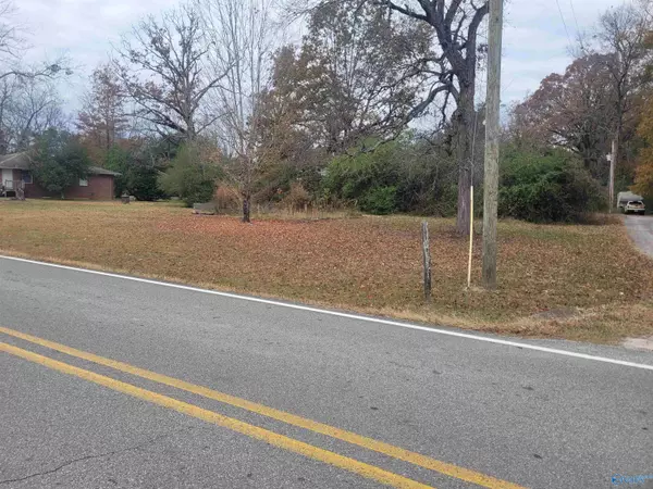 New Hope, AL 35760,Lot 0 College Avenue