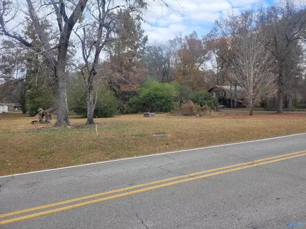 New Hope, AL 35760,Lot 0 College Avenue