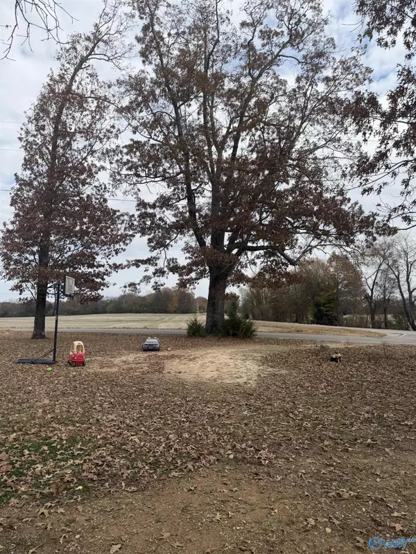 Anderson, AL 35610,1161 Alabama Highway 99