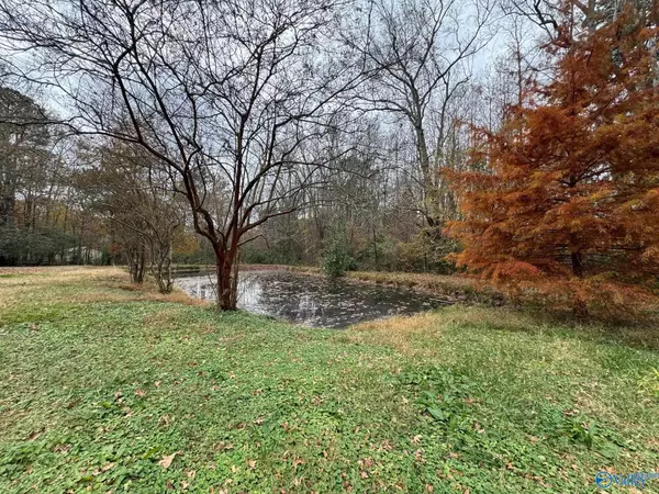 Albertville, AL 35950,1950 South Broad Street