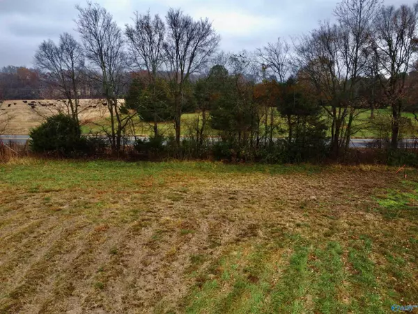 Anderson, AL 35610,Tract 1 County Road 89