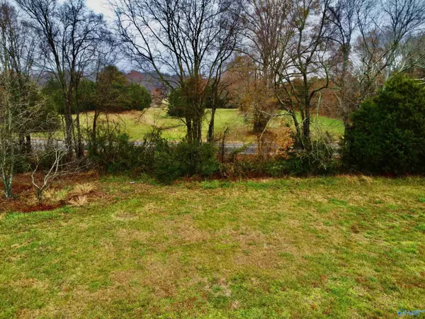 Anderson, AL 35610,Tract 2 County Road 89