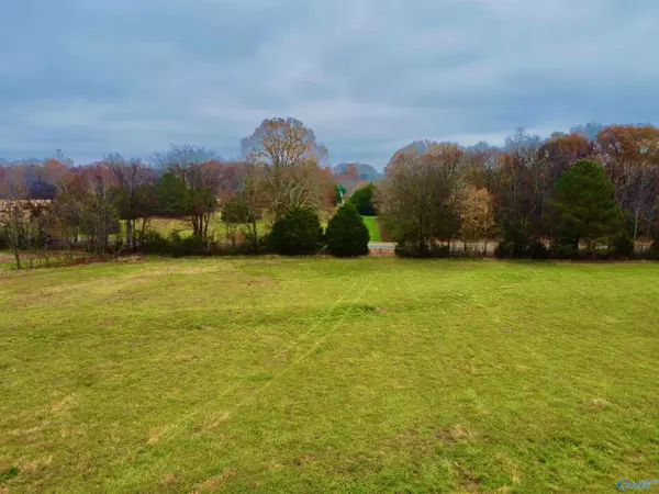 Anderson, AL 35610,Tract 2 County Road 89