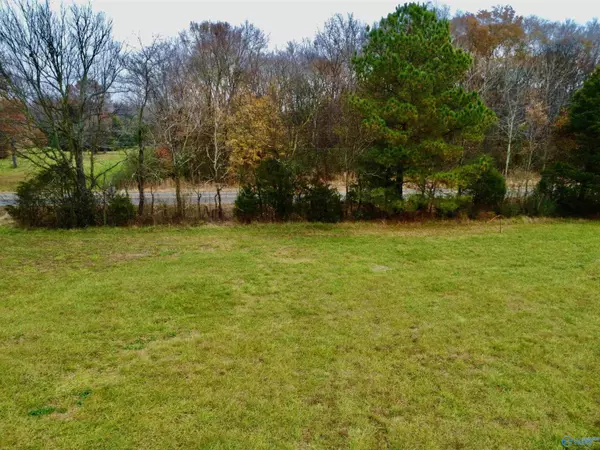 Anderson, AL 35610,Tract 3 County Road 89