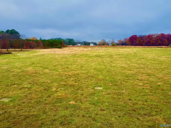 Anderson, AL 35610,Tract 4 County Road 89