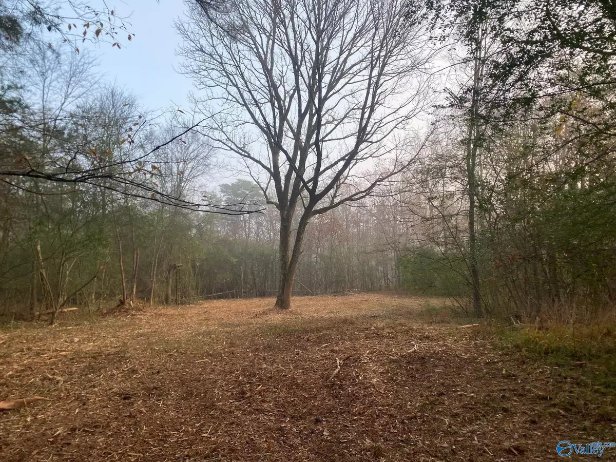 Guntersville, AL 35976,4+/- Acres Mount Carmel Drive
