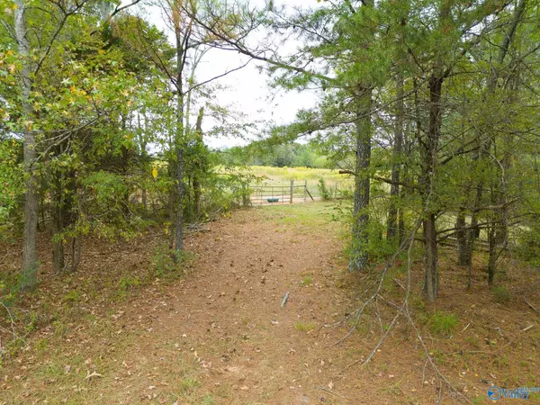 Somerville, AL 35670,232 Kenny Clay Road