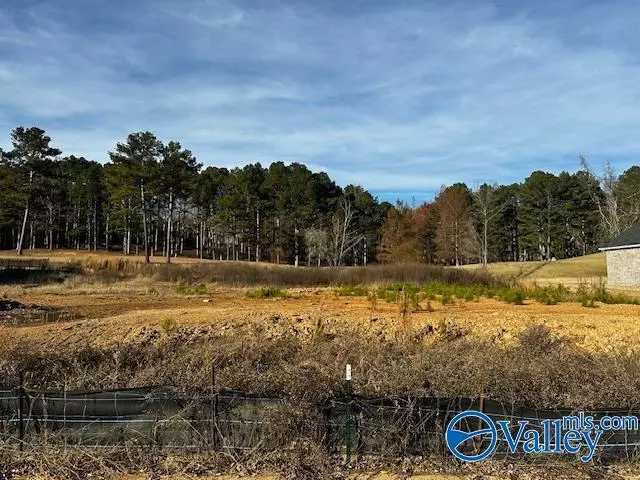 Cherokee Ridge, AL 35175,Lot 11 Cherokee Ridge Drive