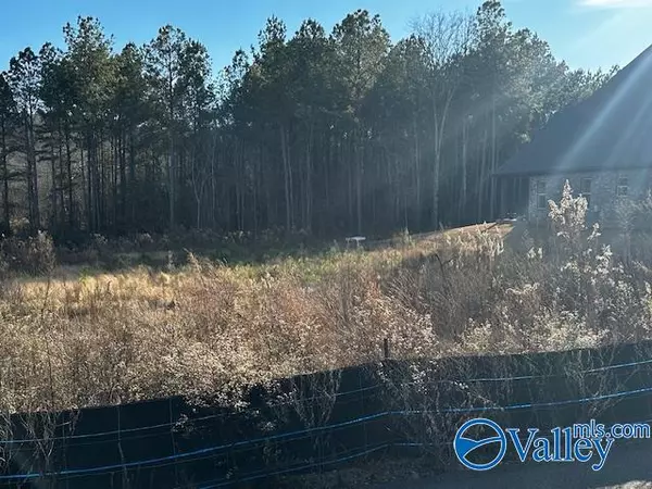 Lot 118 Cherokee Ridge Drive, Cherokee Ridge, AL 35175