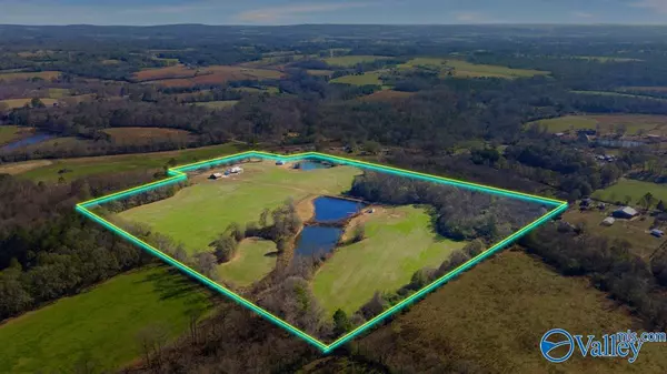 Horton, AL 35980,1283 Moman Road