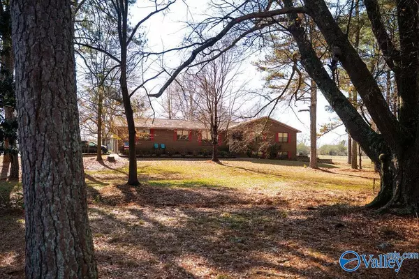 Geraldine, AL 35974,379 County Road 246