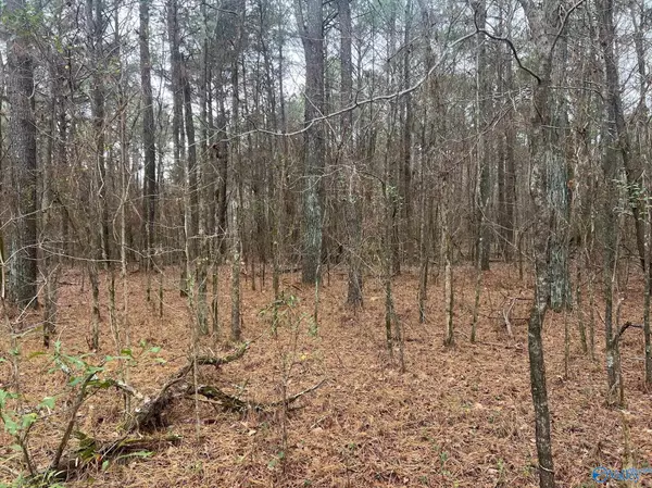 Decatur, AL 35603,123 Hitt Road