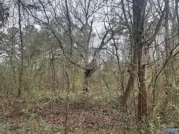 Decatur, AL 35603,123 Hitt Road