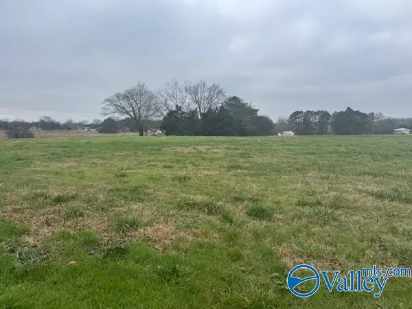 Elkmont, AL 35620,TRACT 8 Alabama Highway 99