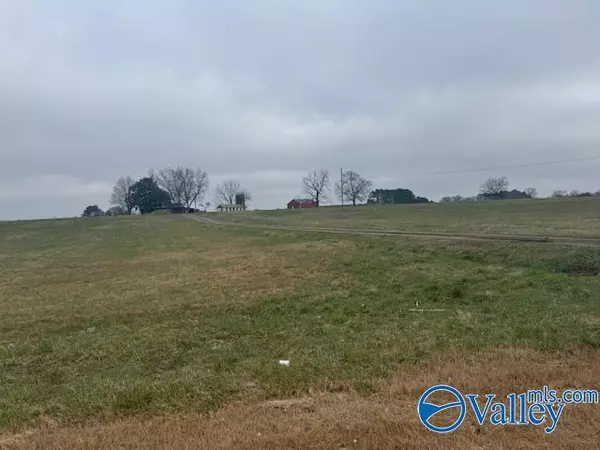 Elkmont, AL 35620,TRACT 6 Alabama Highway 99