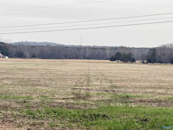 Falkville, AL 35622,32 Acres Hogan Road