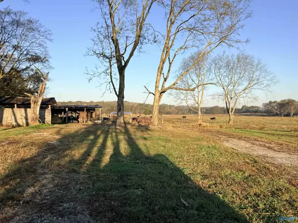 Danville, AL 35619,53 Acres County Road 41 W