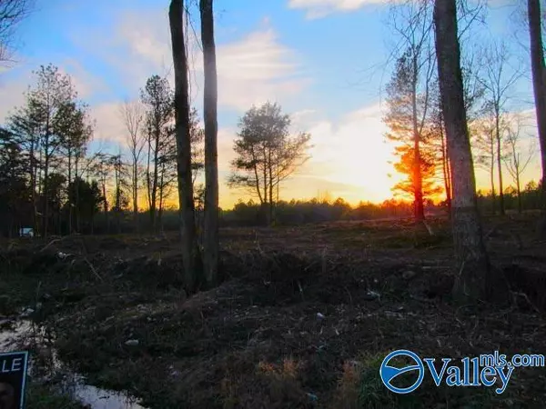 5 Razorback Way, Albertville, AL 35951