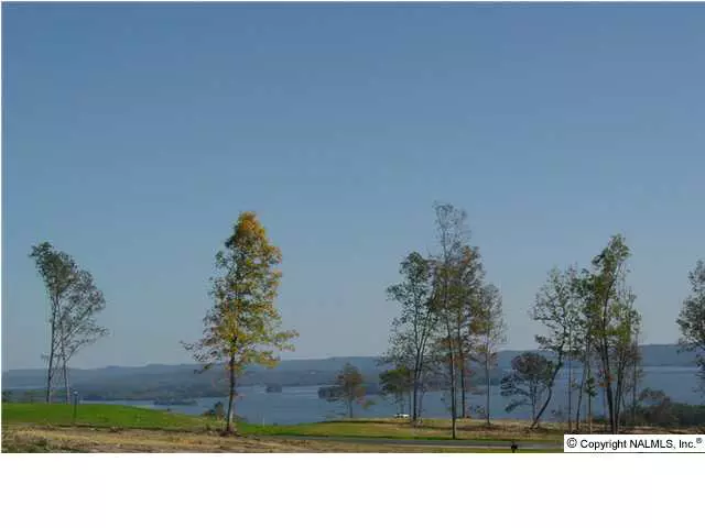 201 Legendary Drive, Guntersville, AL 35976