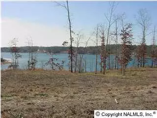 Crane Hill, AL 35053,County Road 120