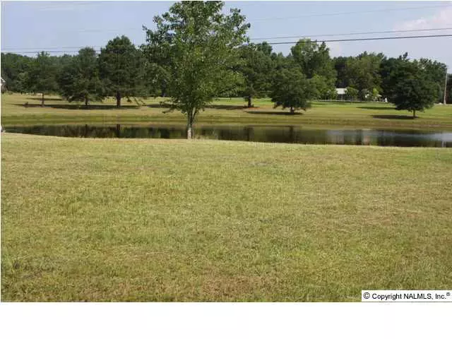 Gadsden, AL 35904,Acreage Davis Place