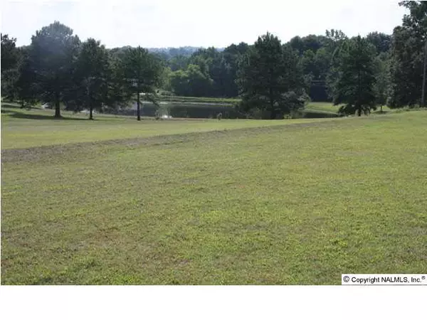 Gadsden, AL 35904,Acreage Davis Place