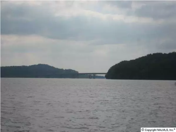 Guntersville, AL 35976,266 Buck Island Point