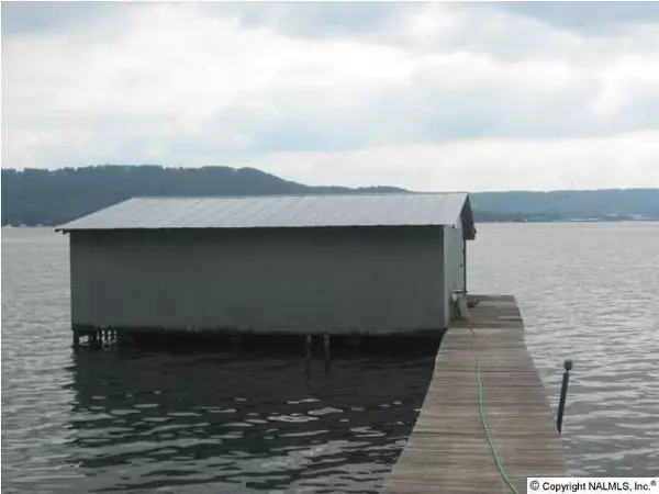 Guntersville, AL 35976,266 Buck Island Point