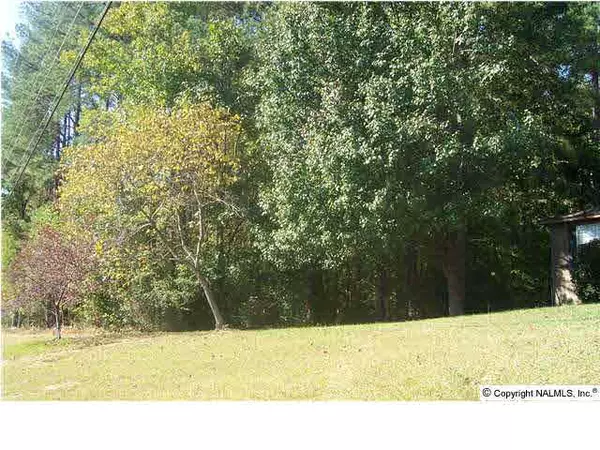 Arab, AL 35016,845 Shoal Creek Trail